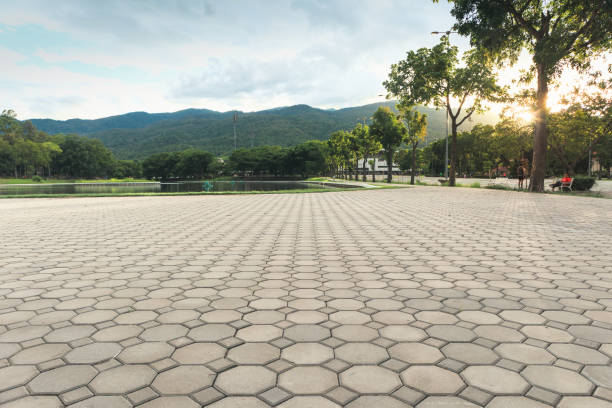 Best Best Driveway Pavers  in Marion, SC